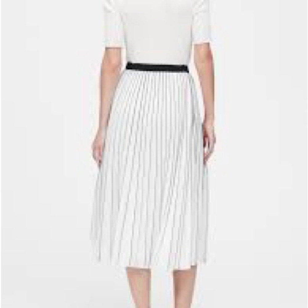 Banana Republic Pleated Skirt Size 10P